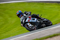 PJ-Motorsport-2019;anglesey;brands-hatch;cadwell-park;croft;donington-park;enduro-digital-images;event-digital-images;eventdigitalimages;mallory;no-limits;oulton-park;peter-wileman-photography;racing-digital-images;silverstone;snetterton;trackday-digital-images;trackday-photos;vmcc-banbury-run;welsh-2-day-enduro